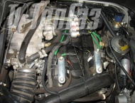 ��� �� ��� 396255 - ����������� ����������