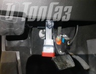 ��� �� ��� Patriot  - 