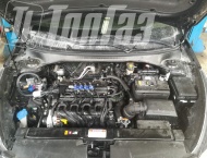 ��� �� Kia Rio  - 