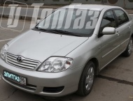 ��� �� Toyota Corolla - ����� ���