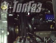 ��� �� ��� 390995 - 