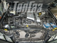 ��� �� Lexus LX 470 - ����������� ����������