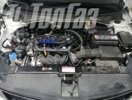 ��� �� Kia Rio - 