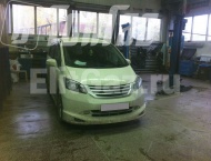 ��� �� Honda Freed - ����� ���