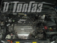 ��� �� Lifan Solano - ����������� ����������