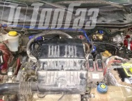 ��� �� Fiat Albea - 
