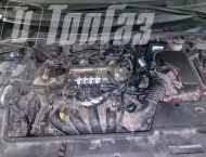��� �� Toyota Corolla - 