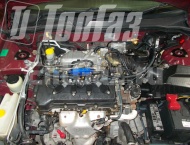 ��� �� Nissan Bluebird - ����������� ����������