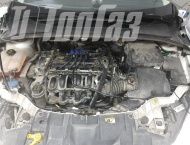 ��� �� Ford Focus  - 