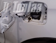 ��� �� Grand Starex - ����������� ����������