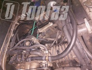 ��� �� ��� 390995 - 