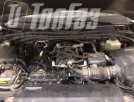 ��� �� Nissan Patrol - 