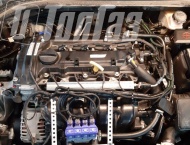 ��� �� Hyundai Elantra  - 
