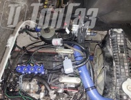 ��� �� ��� 390995 - 