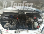��� �� ��� 3302 - 
