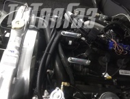 ��� �� ��� 330364 - 