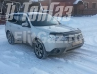 ��� �� Subaru Forester - ����� ���