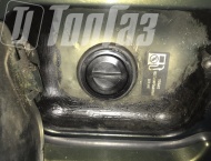 ��� �� ��� Patriot  - 