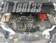��� �� Ford Focus - 