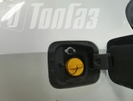 ��� �� Skoda Rapid  - 