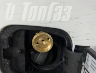 ��� �� Skoda Rapid  - 