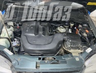 ��� �� Chevrolet Niva  - 