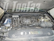 ��� �� Ford Expedition - ����������� ����������