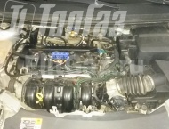 ��� �� Ford Focus - ����������� ����������