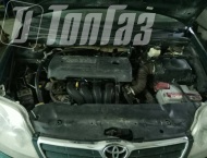 ��� �� Toyota Corolla - ����������� ����������