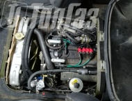 ��� �� ��� 390945 - 