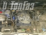 ��� �� Suzuki Grand Vitara - ����������� ����������