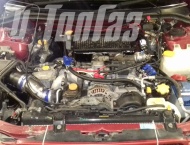 ��� �� Subaru Forester  - ����������� ����������