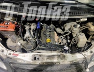 ��� �� ��� 3302 - 