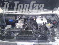 ��� �� ��� Patriot - 
