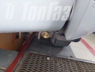��� �� Vortex Tingo - 