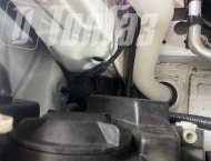 ��� �� JAC REIN - 