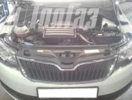 ��� �� Skoda Rapid  - 