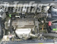 ��� �� Lifan Solano - ����������� ����������