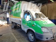 ��� �� ��� 330202  - 