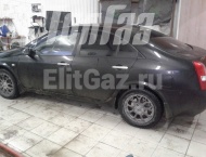 ��� �� Nissan Primera - ����� ���