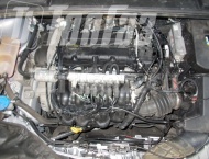 ��� �� Ford Focus - ����������� ����������