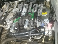 ��� �� ��� 330365 - ����������� ����������