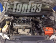 ��� �� Nissan Primera  - 