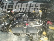 ��� �� Subaru Forester - ����������� ����������