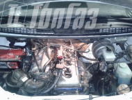 ��� �� ��� 3302 - 