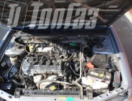 ��� �� Nissan Expert - ����������� ����������