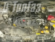 ��� �� Subaru Forester - ����������� ����������