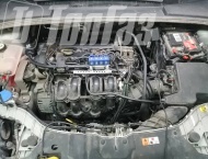 ��� �� Ford Focus - 