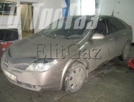 ��� �� Nissan Primera - ����� ���