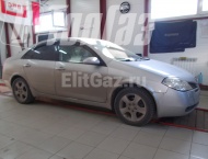 ��� �� Nissan Primera - ����� ���